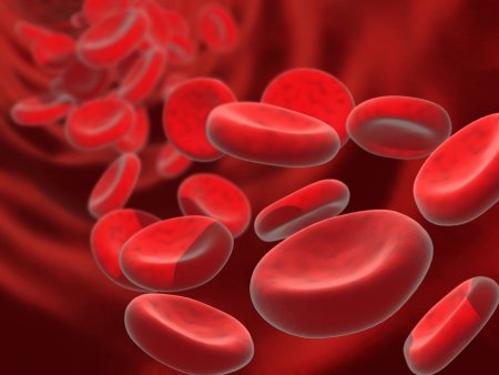 yüksek tansiyon için kırmızı kan hücreleri)