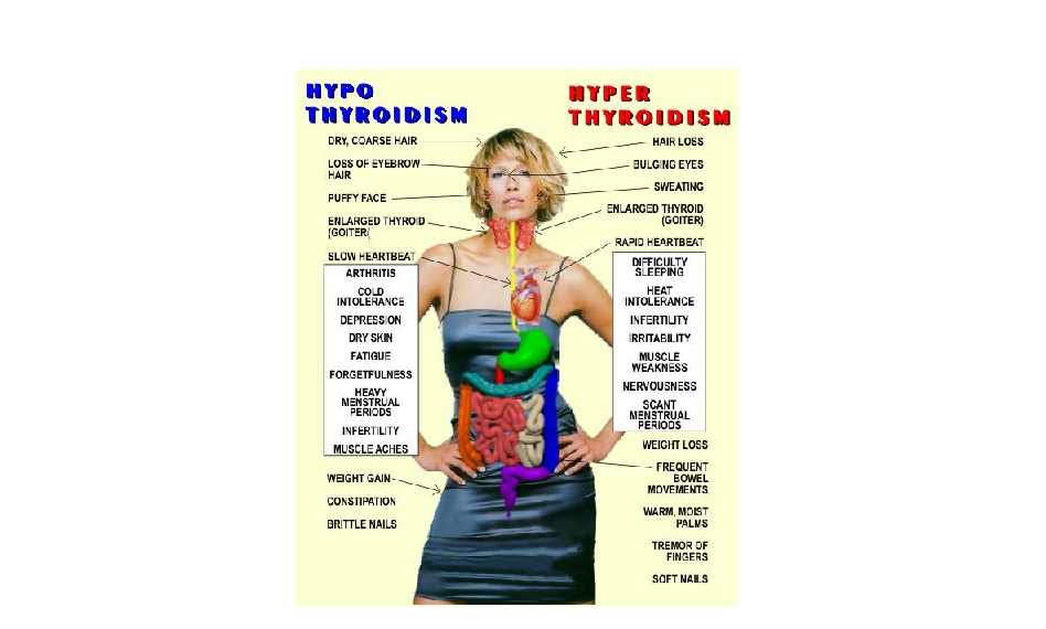 tiroid hormonlari ni bozan faktorler saglikli olalim